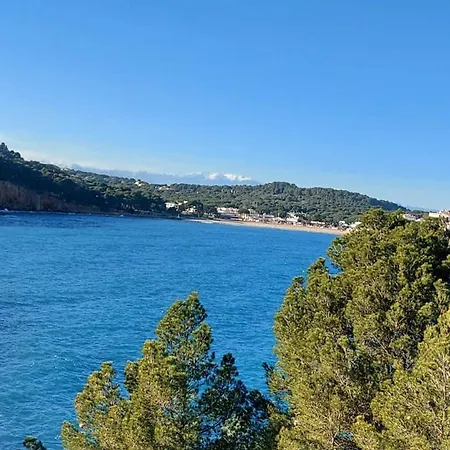 Hébergement de vacances Floralys Llauro