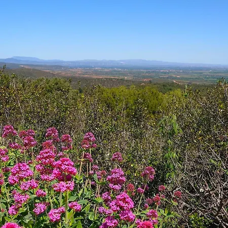 Floralys Llauro
