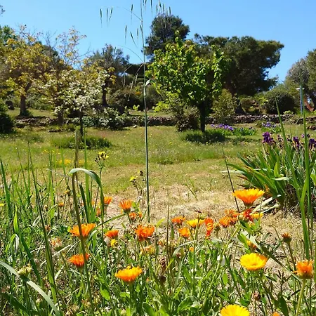 Floralys * Llauro
